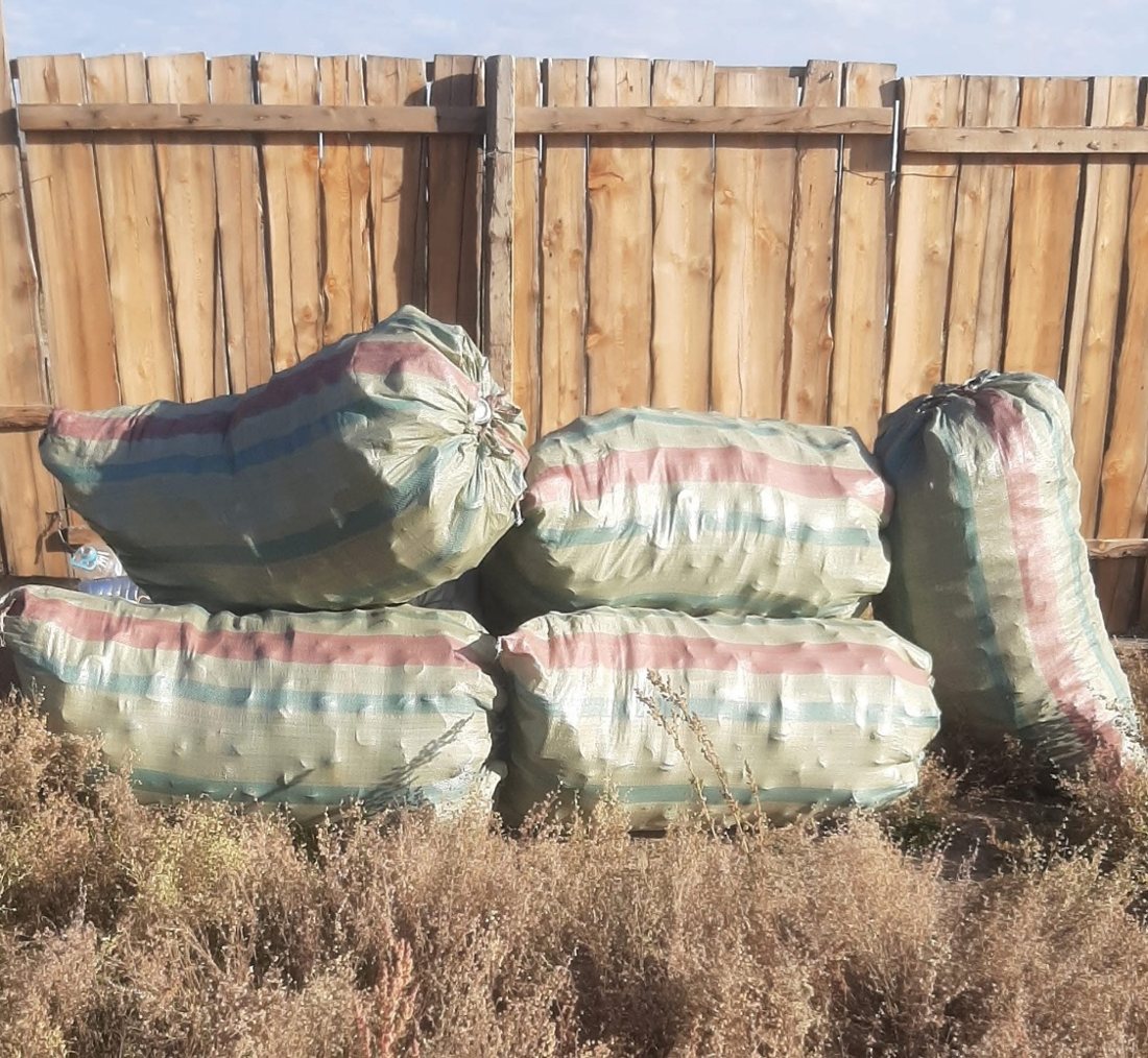Sort: Aluminium cans and plastic bottles are separated from other waste and bagged.