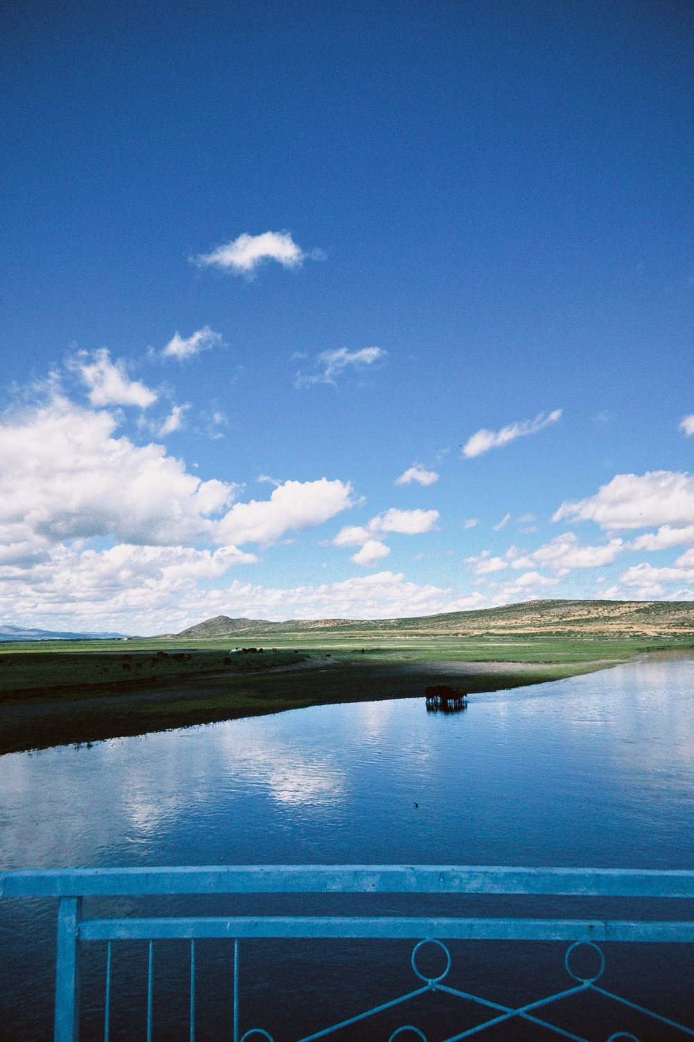 A river flowing across the steppe near Ugii Lake